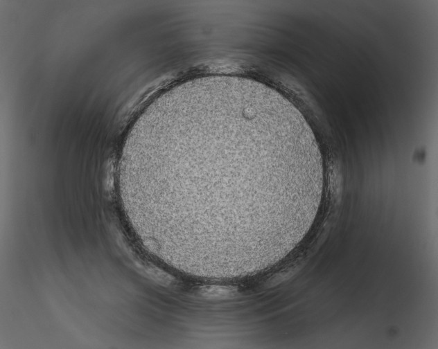X0000115690549200912241504