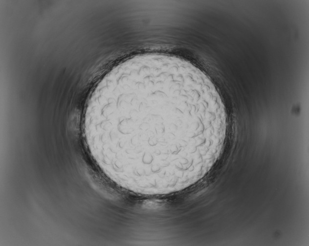 X0000115690550200912241504