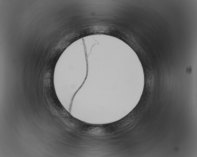 X0000115690551200912241504