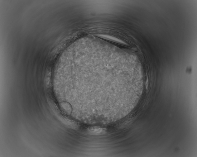 X0000115690553200912241504