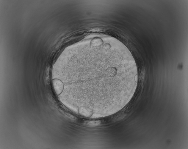 X0000115690554200912241504