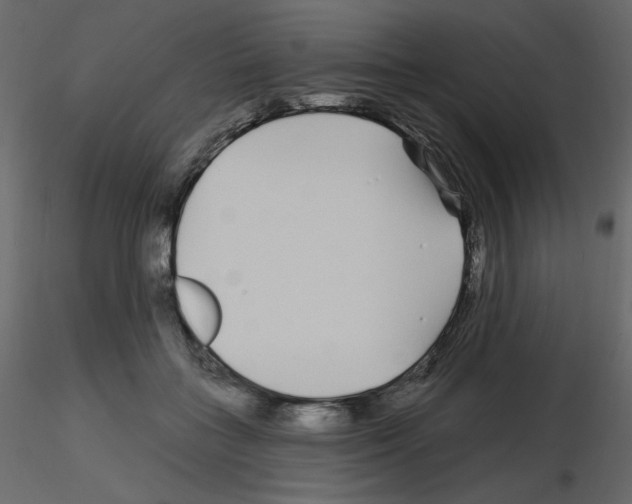 X0000115690555200912241504