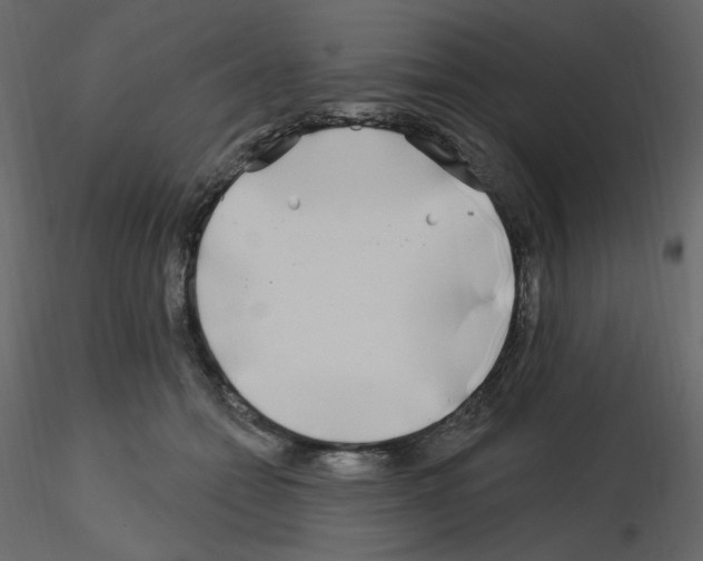X0000115690558200912241504