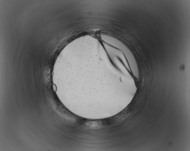 X0000115690559200912241504