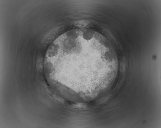 X0000115690561200912241504