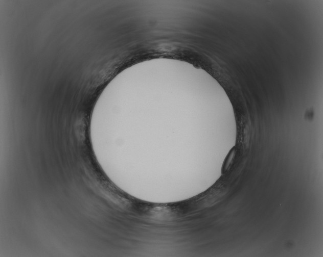 X0000115690562200912241504