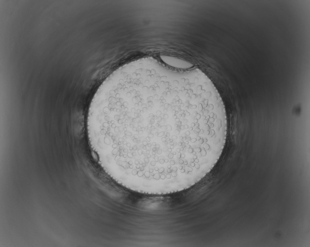 X0000115690563200912241504