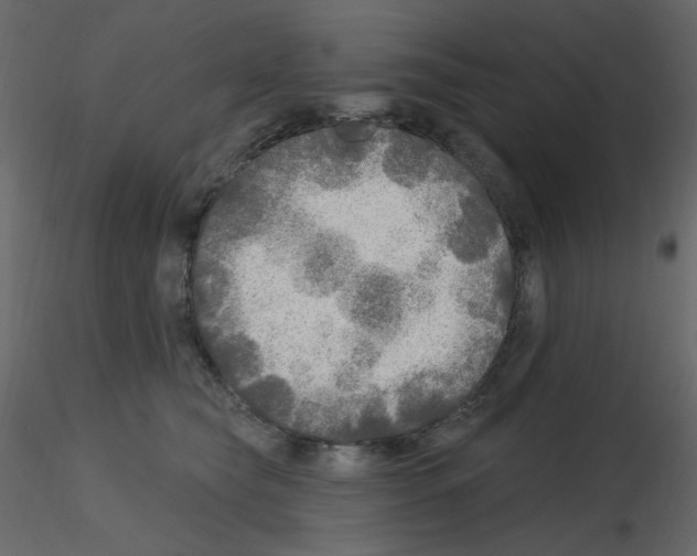 X0000115690565200912241504