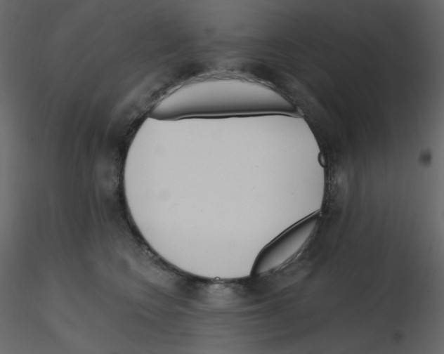 X0000115690566200912241504