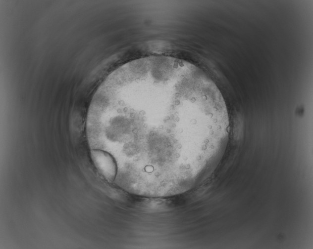 X0000115690569200912241504