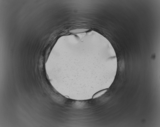 X0000115690570200912241504