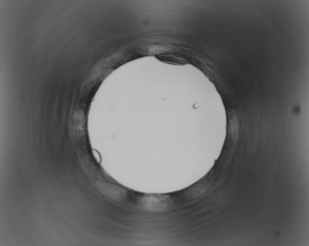X0000115690571200912241504