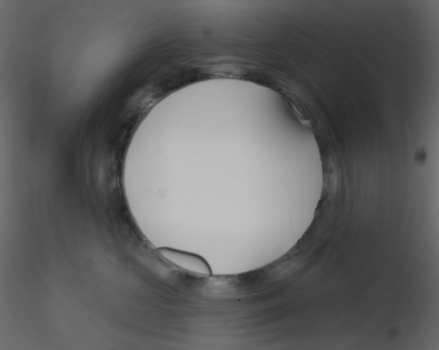 X0000115690573200912241504