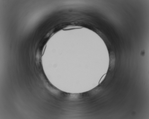 X0000115690574200912241504