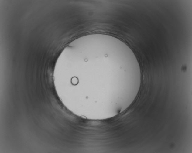 X0000115690575200912241504