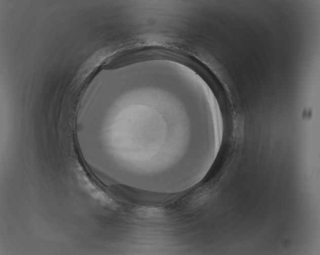 X0000115690577200912241503