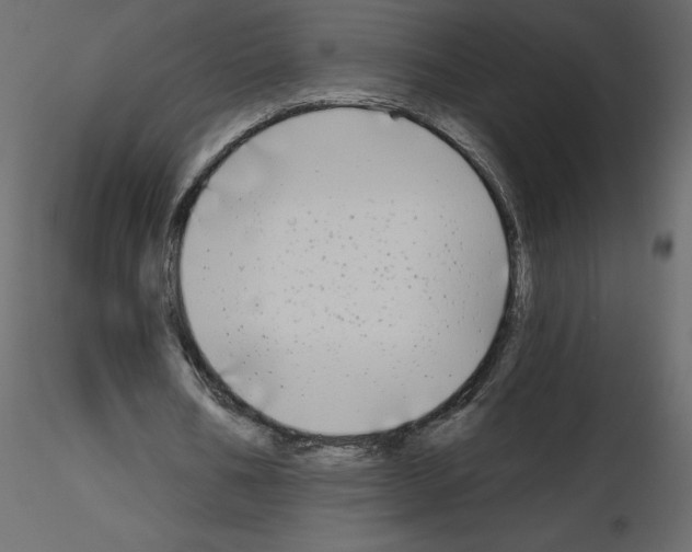 X0000115690578200912241503