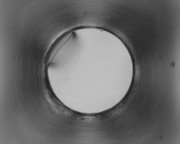 X0000115690580200912241503
