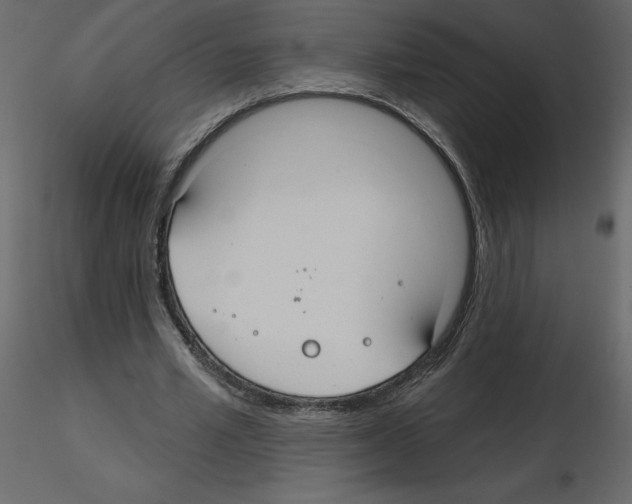 X0000115690581200912241503