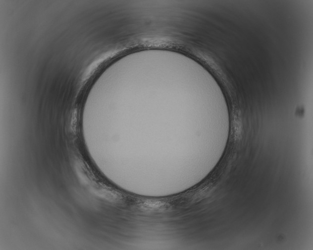 X0000115690583200912241503