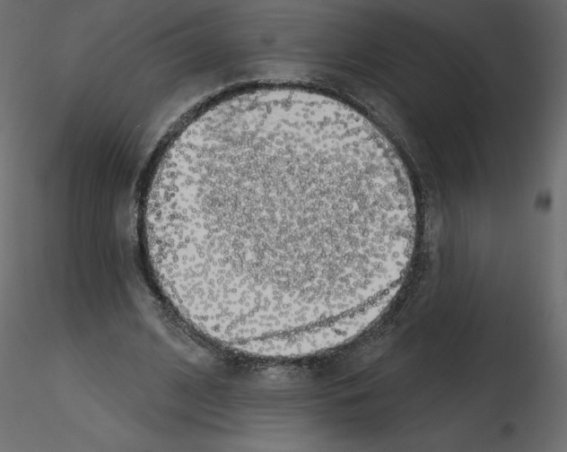 X0000115690584200912241503