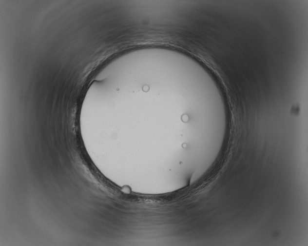 X0000115690585200912241503