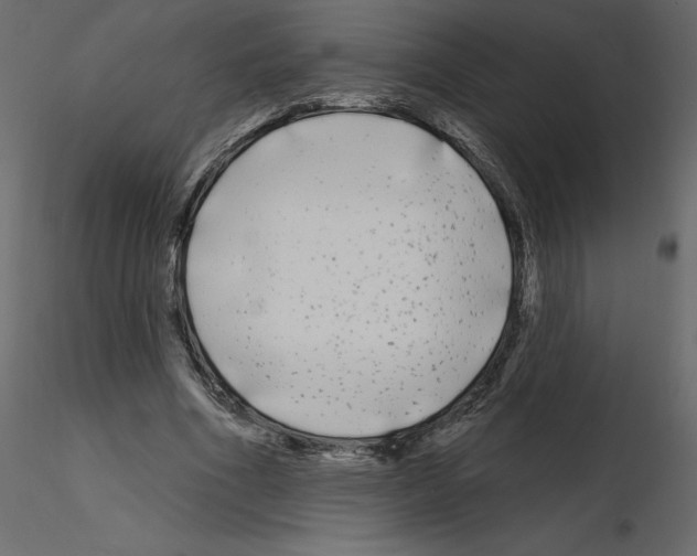 X0000115690586200912241503