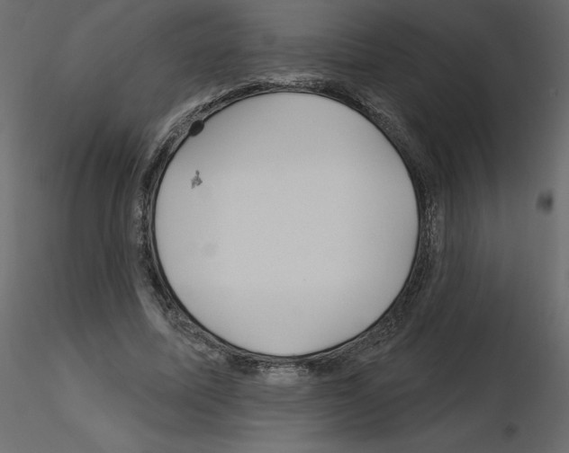 X0000115690587200912241503