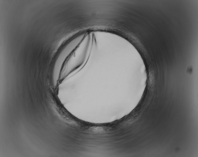 X0000115690588200912241503