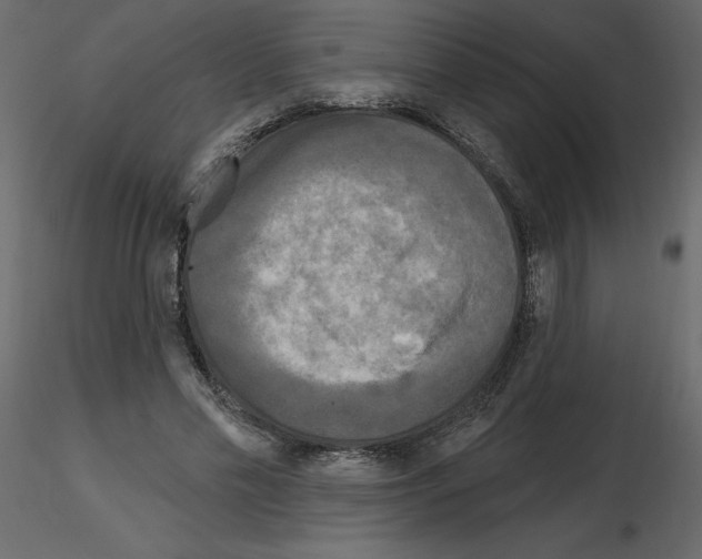X0000115690589200912241503
