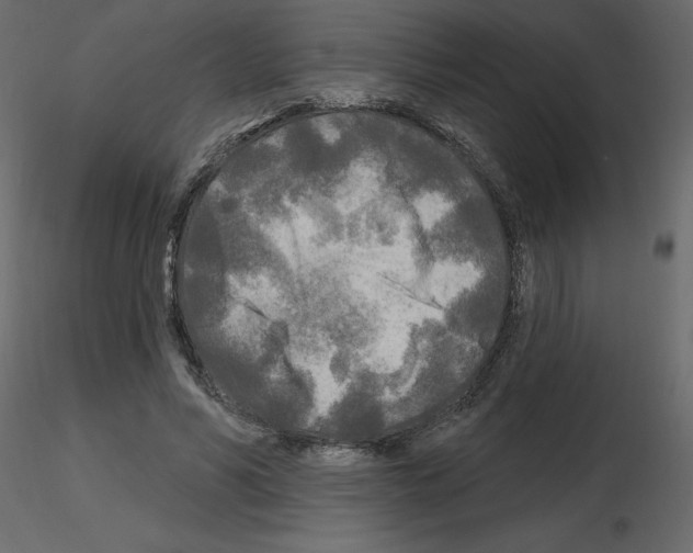 X0000115690590200912241503