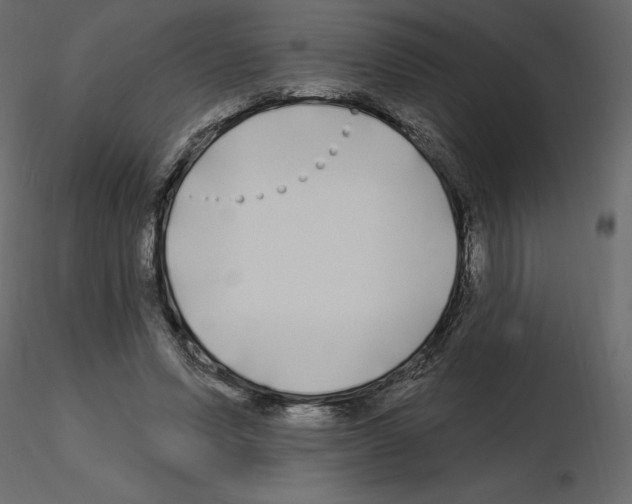 X0000115690591200912241503