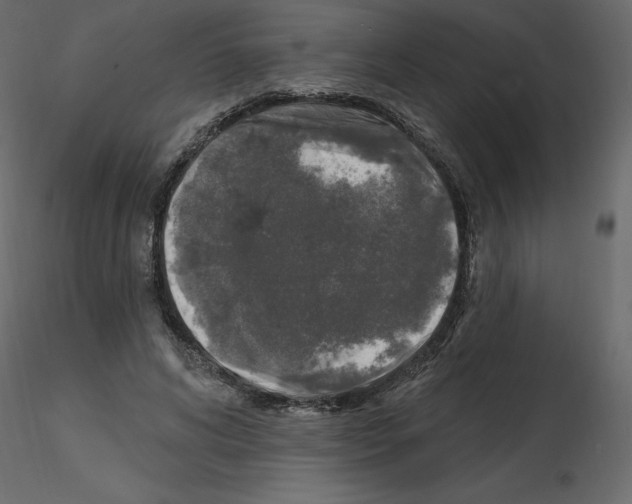 X0000115690592200912241503