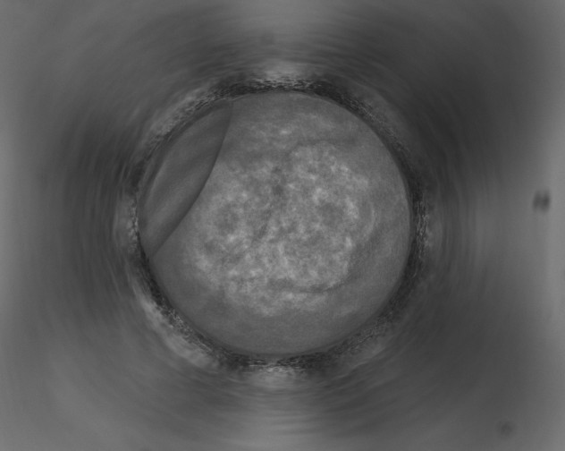 X0000115690593200912241503