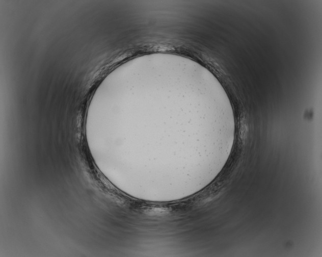 X0000115690594200912241503