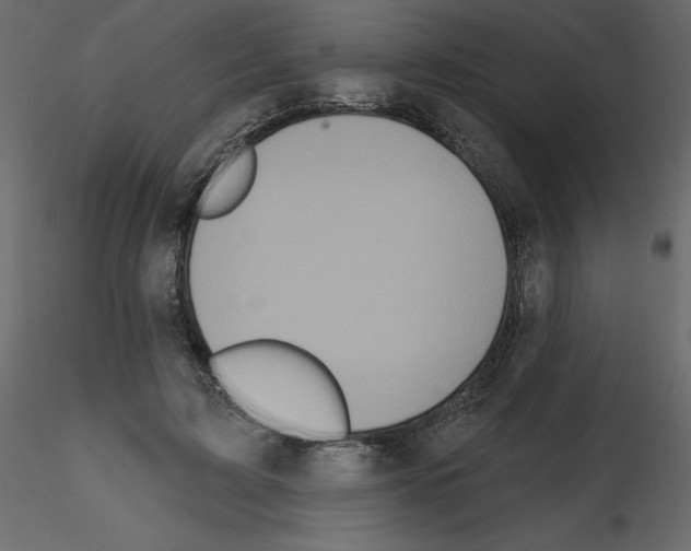 X0000115690595200912241503