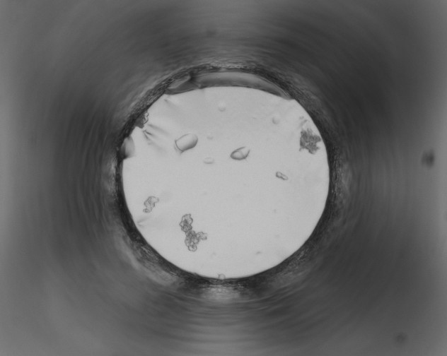 X0000115690596200912241503