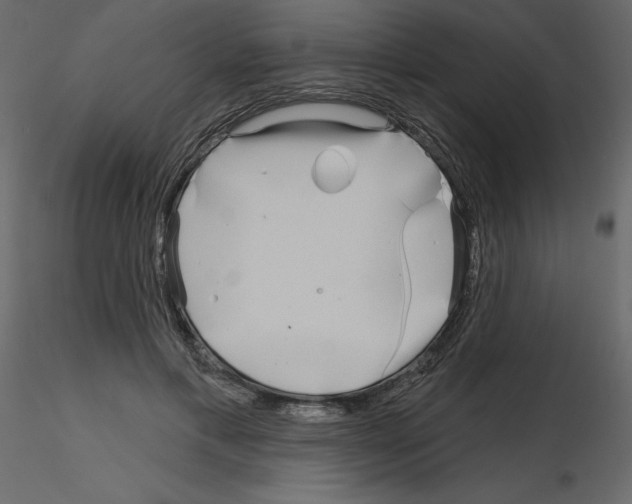 X0000115690597200912241503