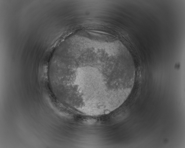 X0000115690598200912241503