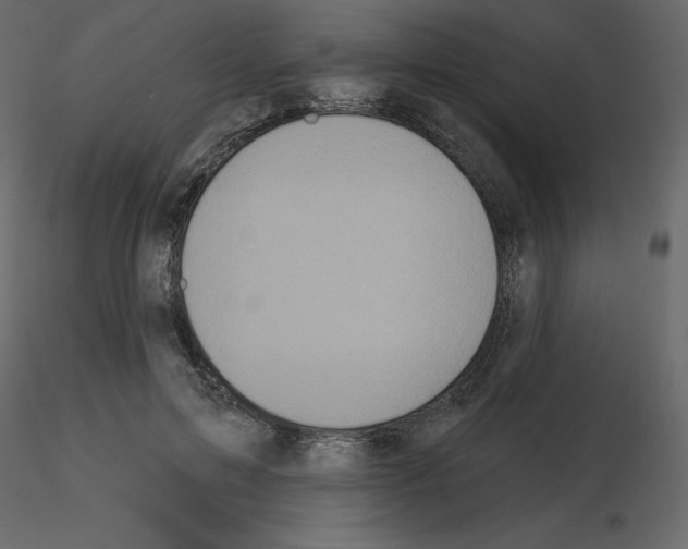 X0000115690599200912241503