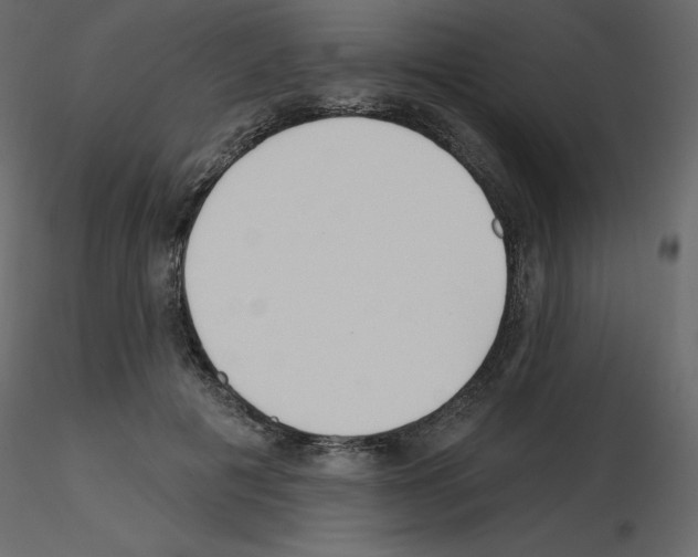 X0000115690601200912241503