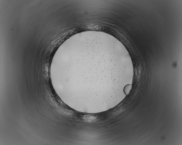 X0000115690602200912241503