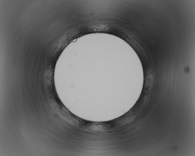 X0000115690604200912241503