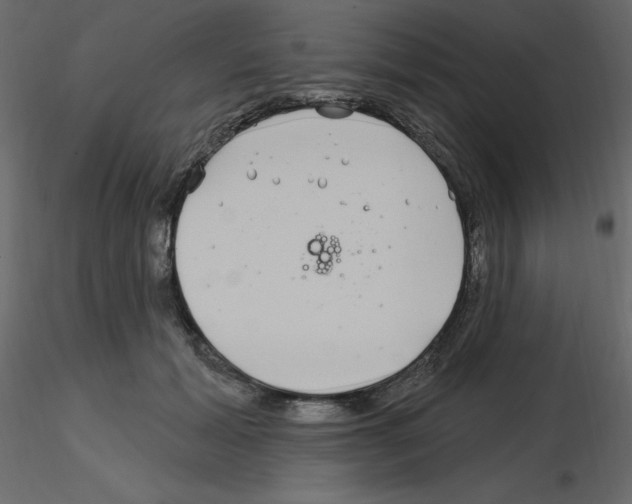 X0000115690605200912241503