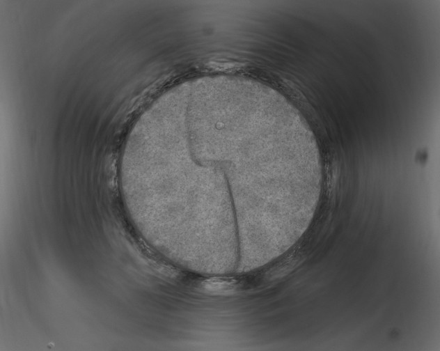 X0000115690606200912241503