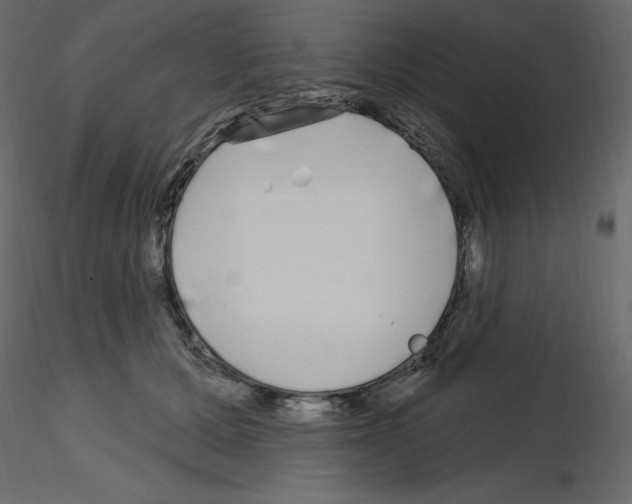 X0000115690607200912241503