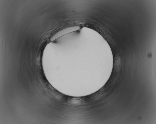 X0000115690608200912241503