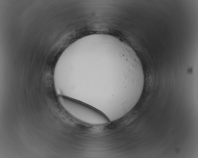 X0000115690609200912241503