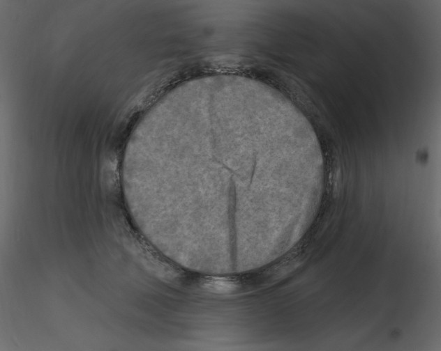 X0000115690610200912241503