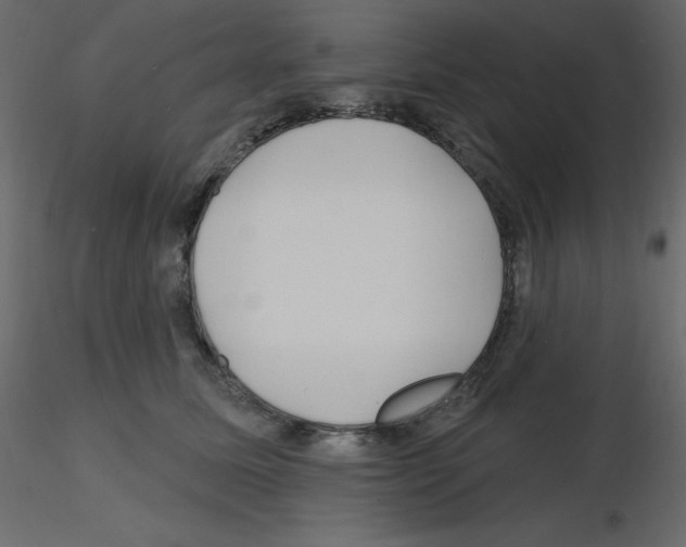 X0000115690611200912241503